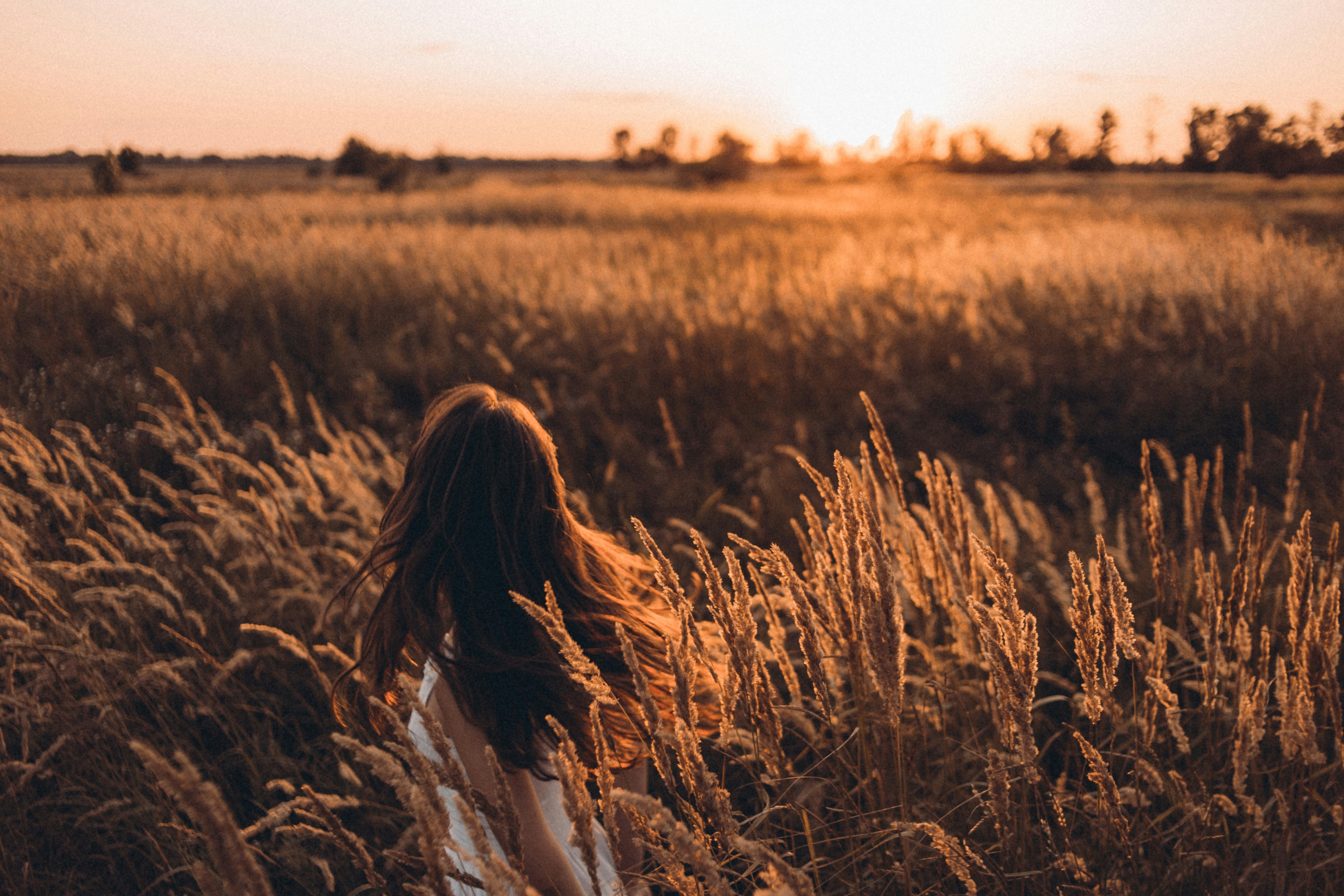 Woman walking through a golden wheat field at sunset
