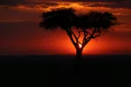 Sub-Saharan Africa