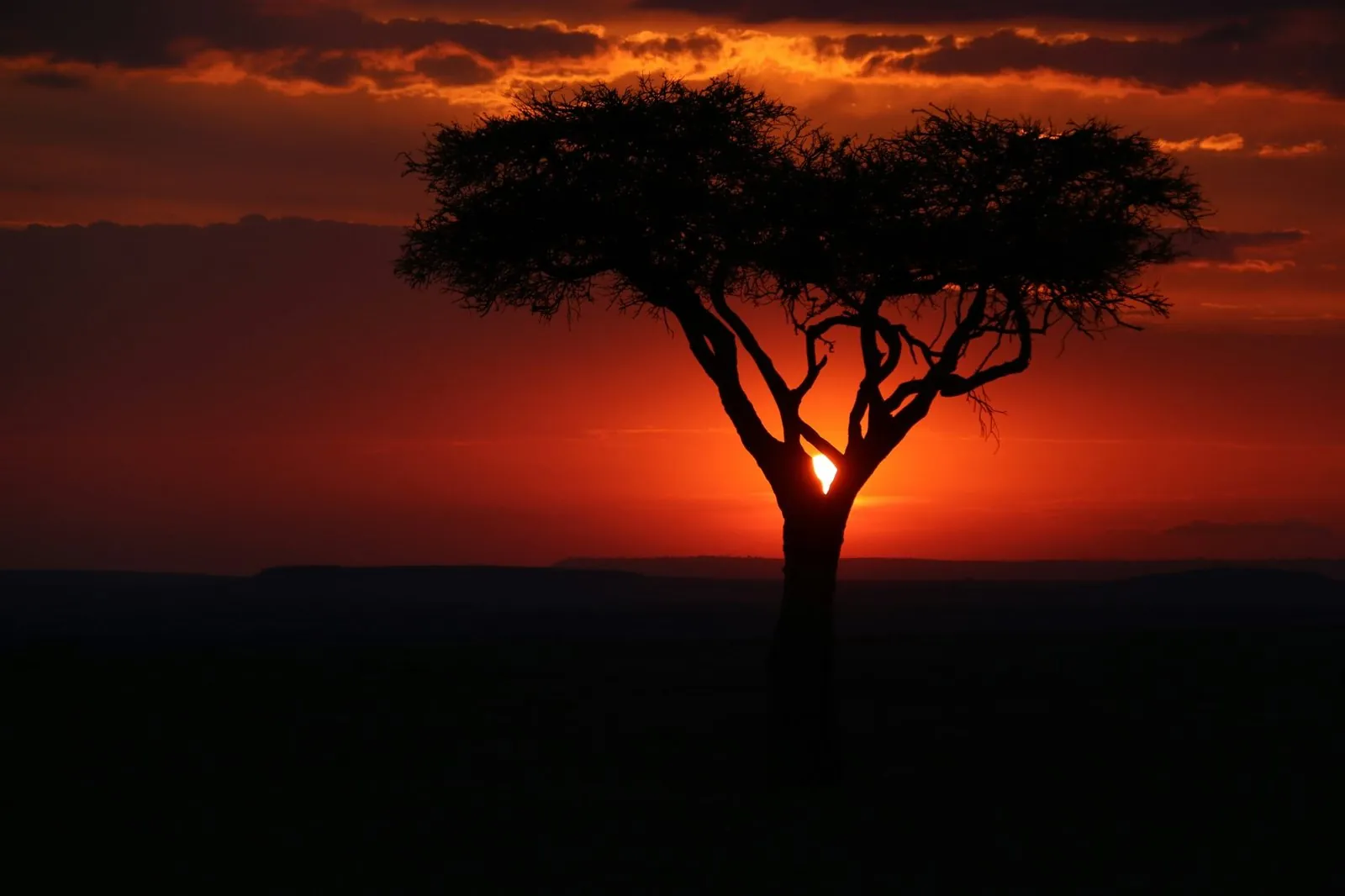 Sub-Saharan Africa