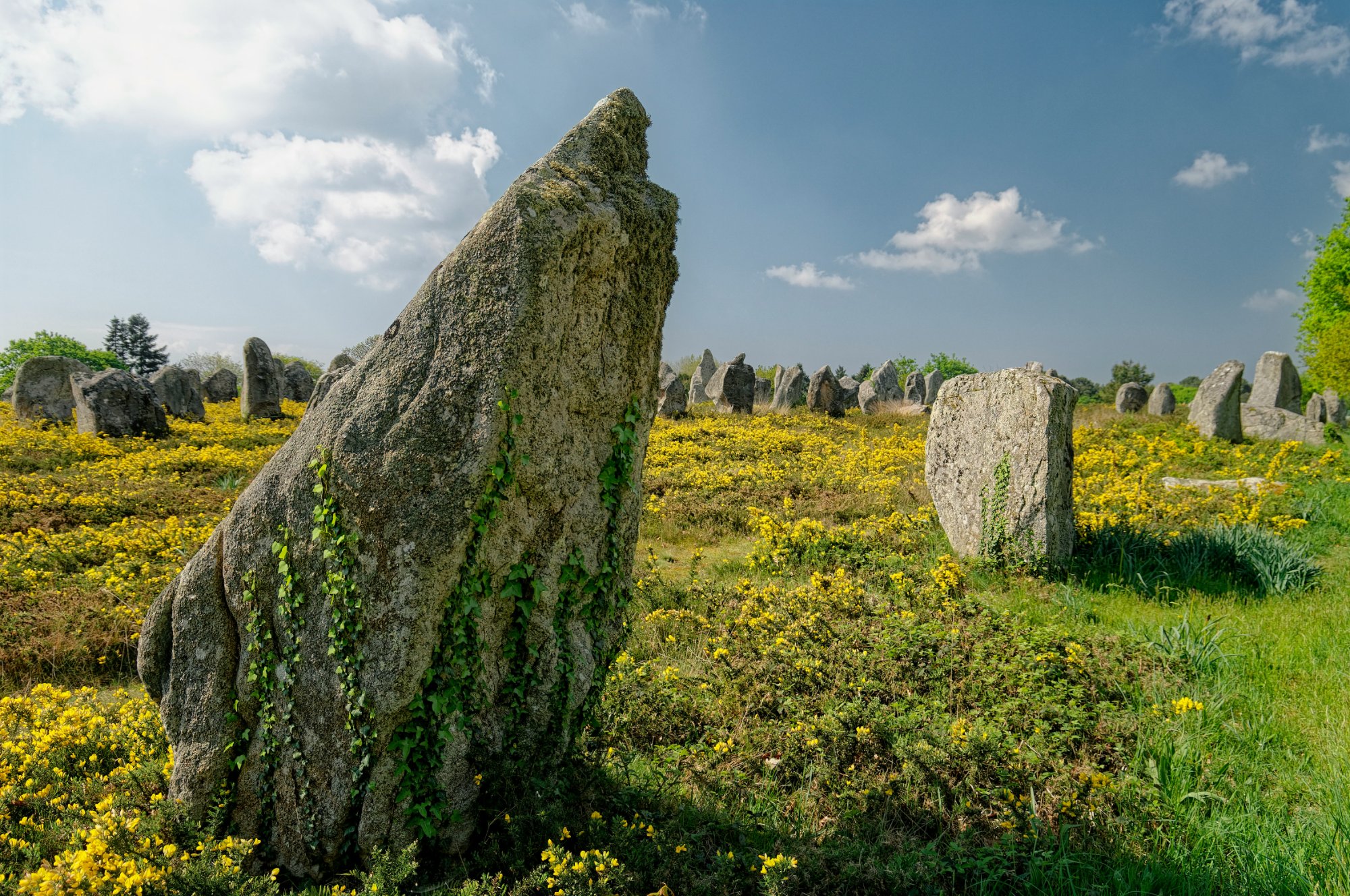 Misty Celtic stone circle in the forest – where druids dreamed the future