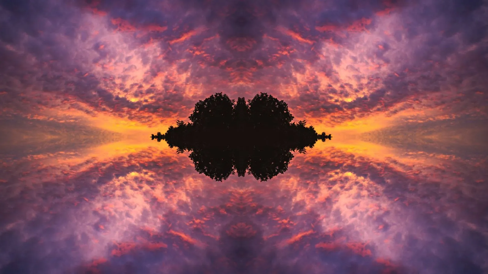 Ancient starlit sky, where history's greatest dreams were born