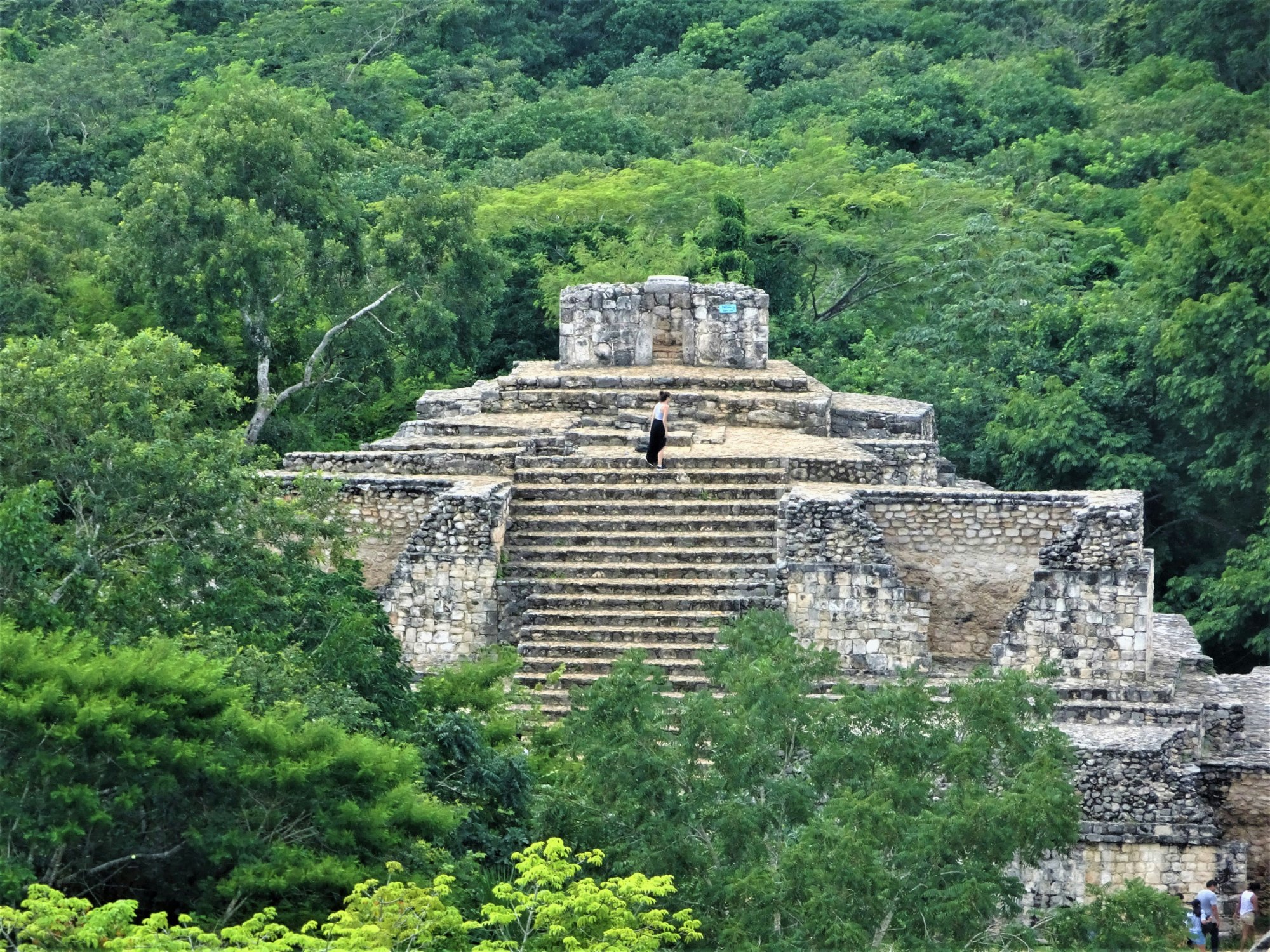 Ancient Mayan pyramid rising from the jungle – where shamans traveled through dream worlds