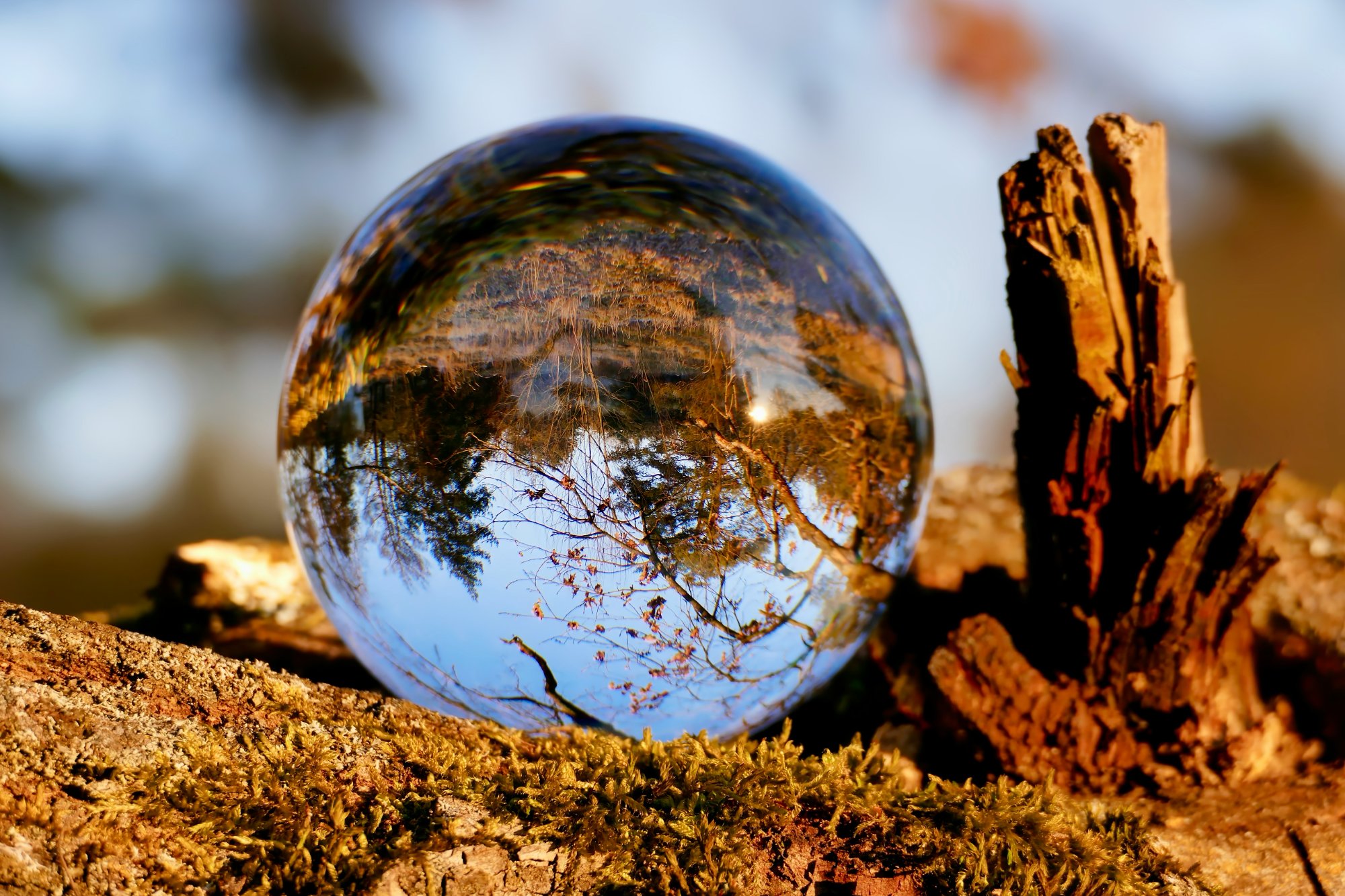 Crystal glass sphere reflecting an inverted landscape – seeing the world differently