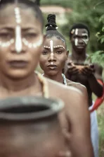 Shamanic Dreaming & Spirit Guides