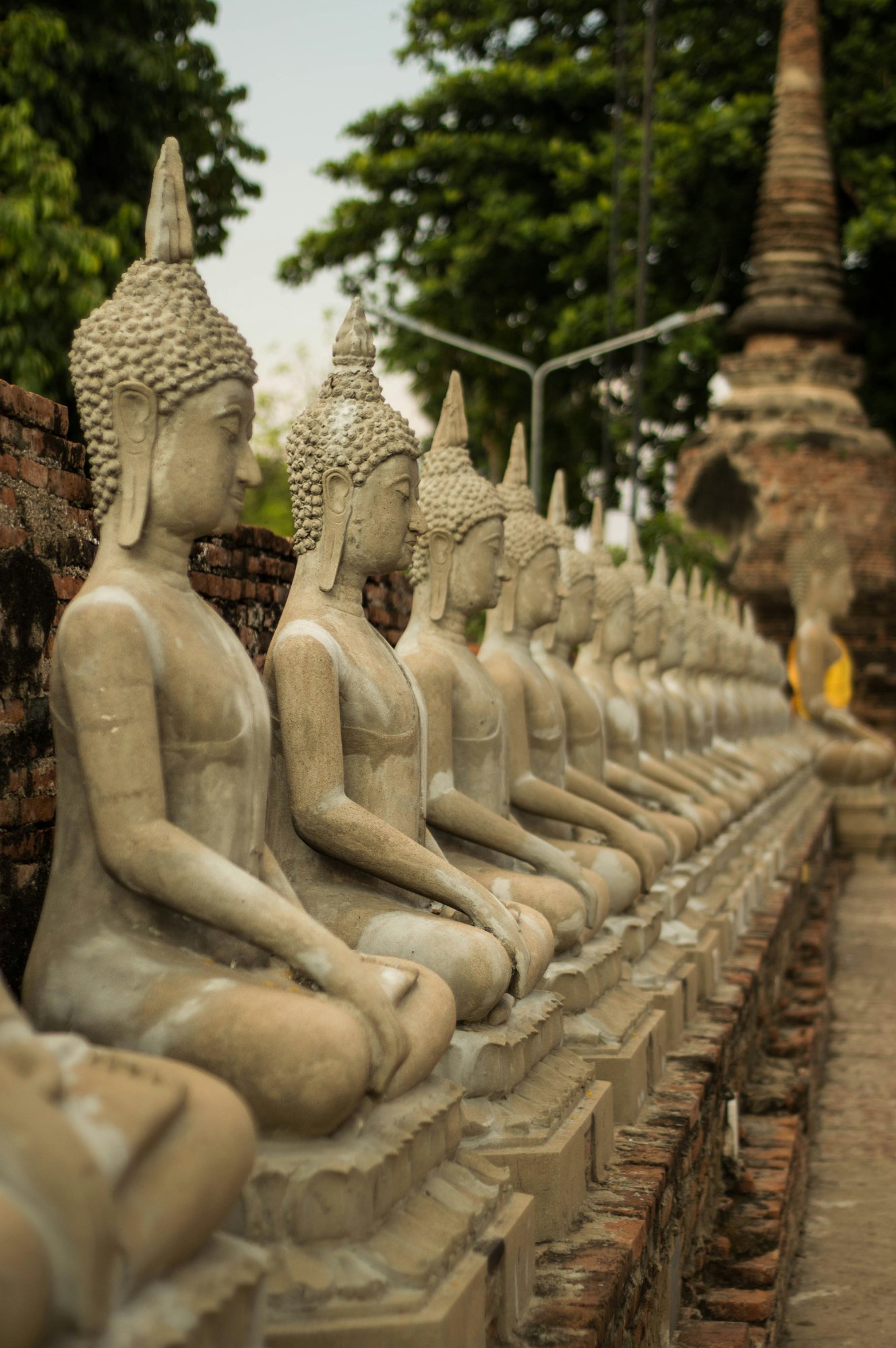 Row of Buddha statues at ancient Southeast Asian temple